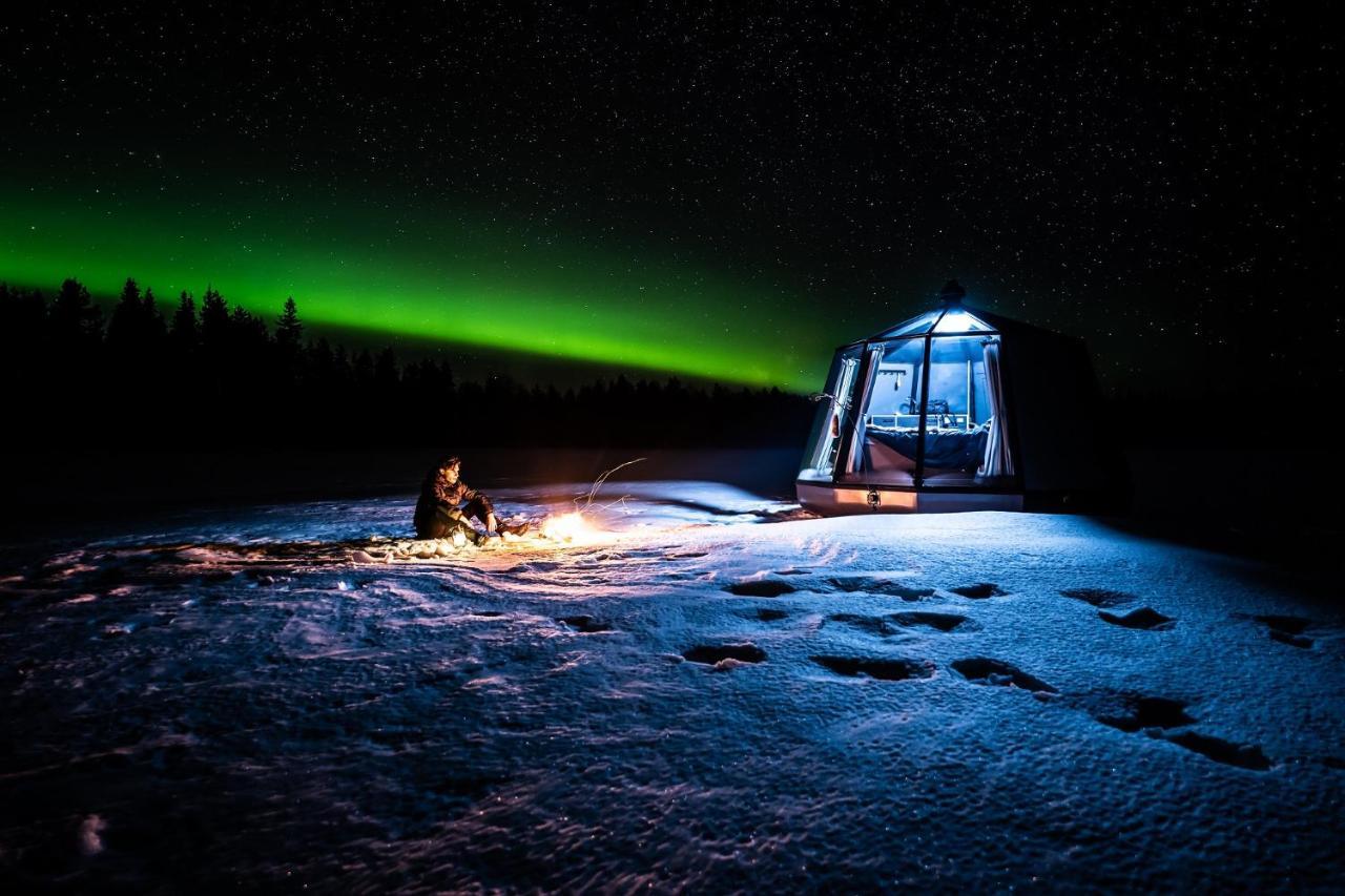 Arctic Guesthouse & Igloos Ranua Exteriör bild